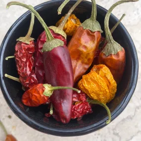 "Botano Chili Mix" Chili Peppers | Biodynamic