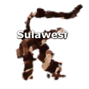 Sulawesi Toraja Coffee